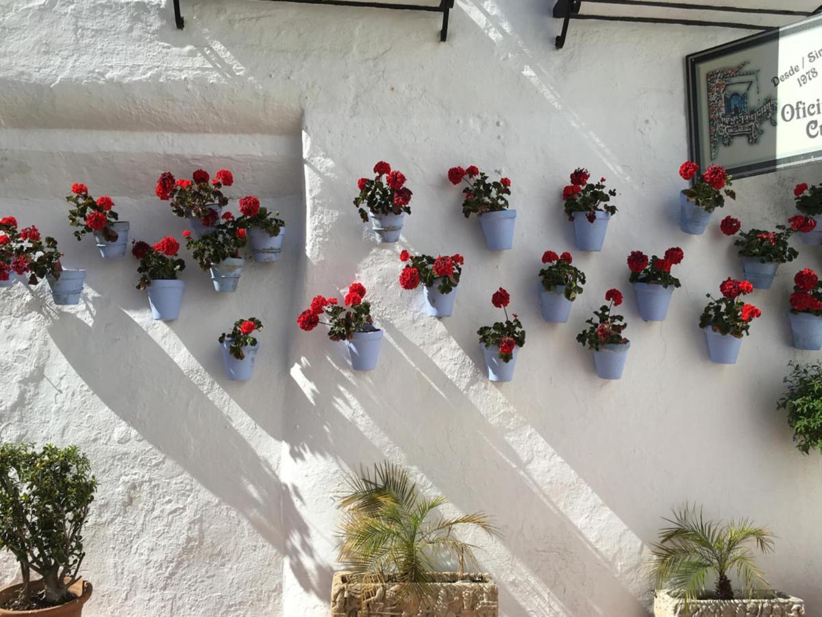 Paris Fashion - Torremolinos Apartment Bagian luar foto